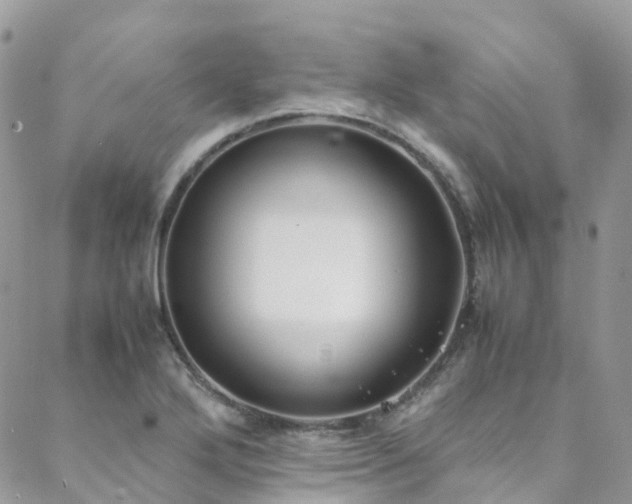 X0000088681272200705311159