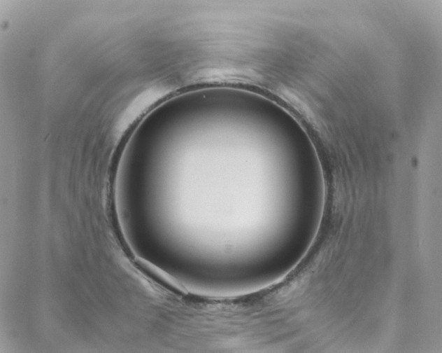 X0000088681277200705311159