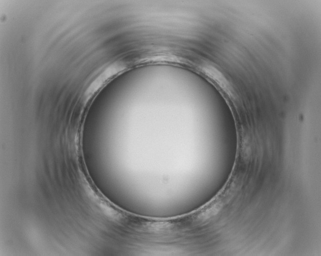 X0000088681282200705311159