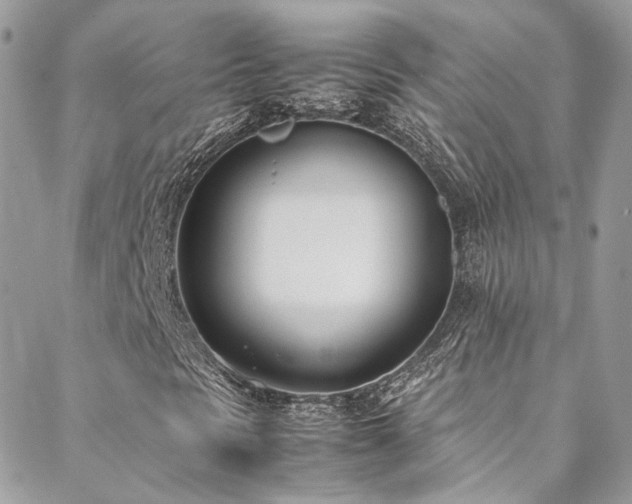 X0000088681297200705311158