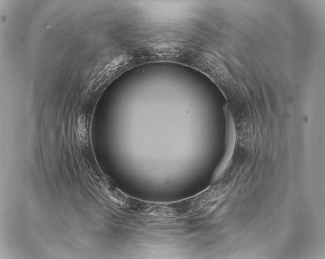 X0000088681298200705311158