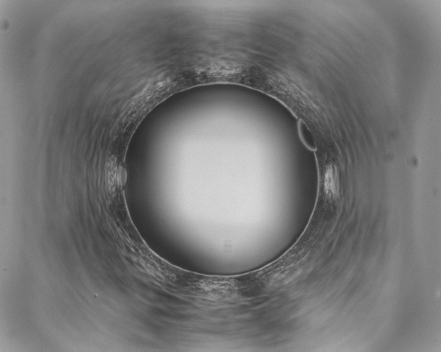 X0000088681299200705311158