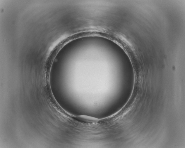 X0000088681310200705311158