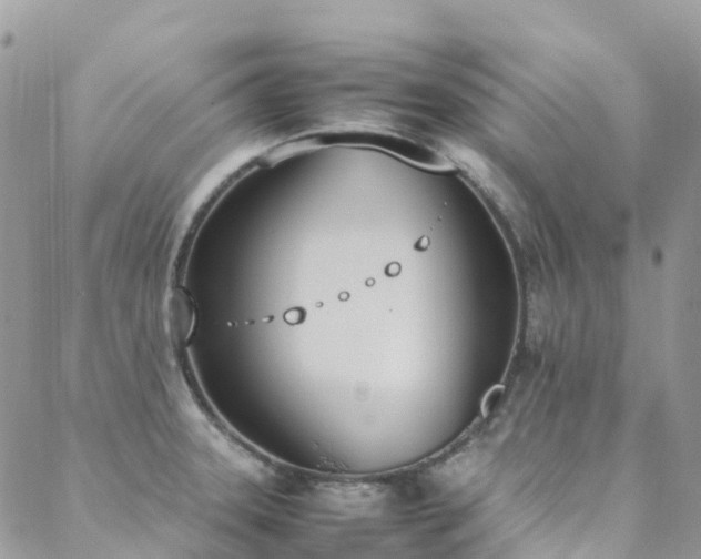 X0000088681331200705311158
