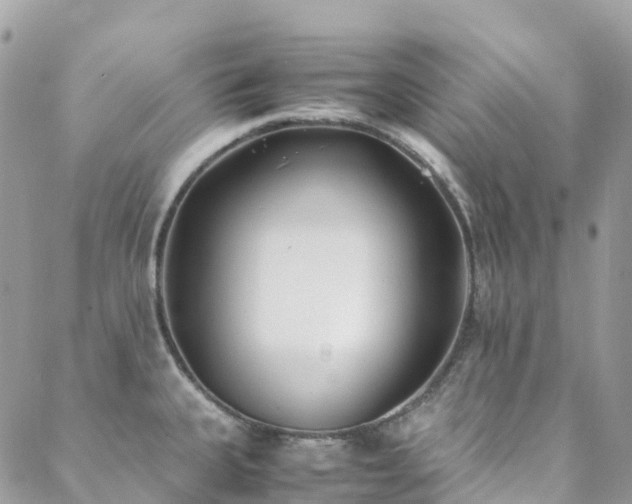 X0000088681335200705311158