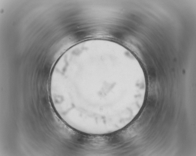 X0000088681338200705311158