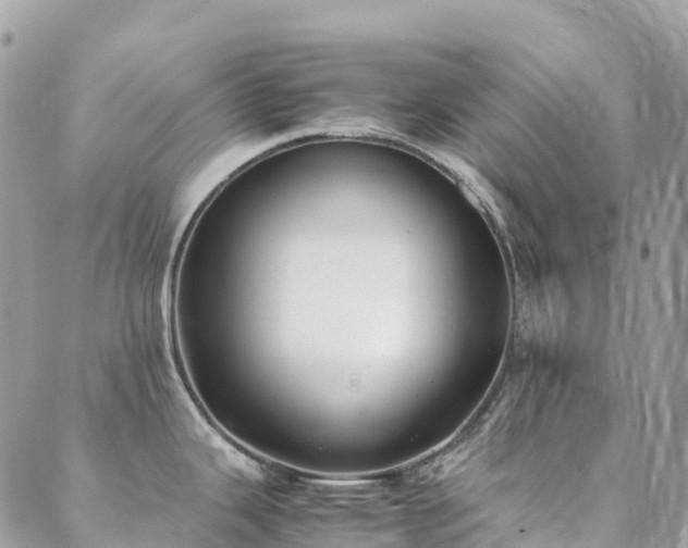 X0000088681343200705311158