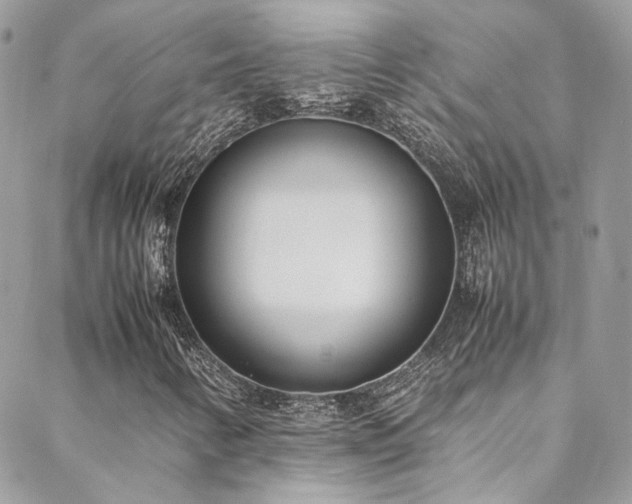 X0000088681346200705311158