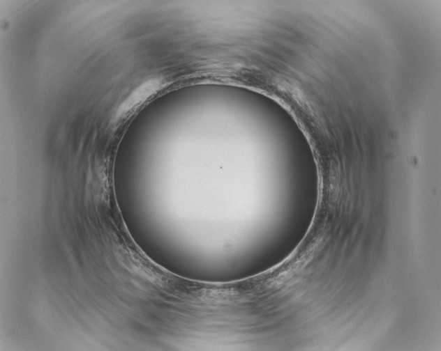 X0000088681354200705311157