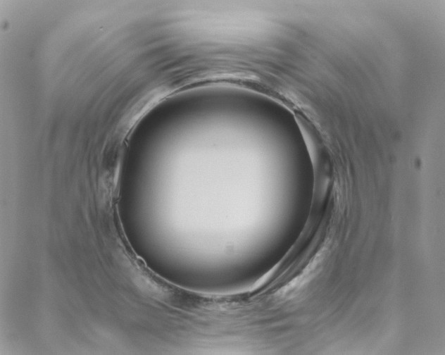 X0000088681369200705311157
