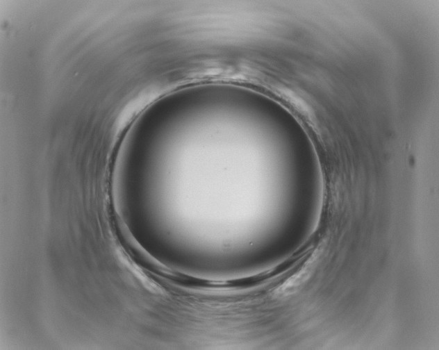 X0000088681373200705311157