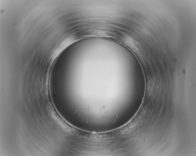 X0000088681378200705311157
