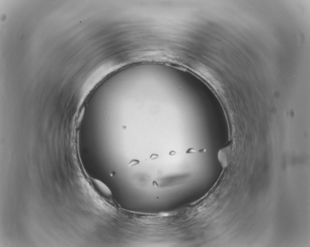 X0000088681392200705311157