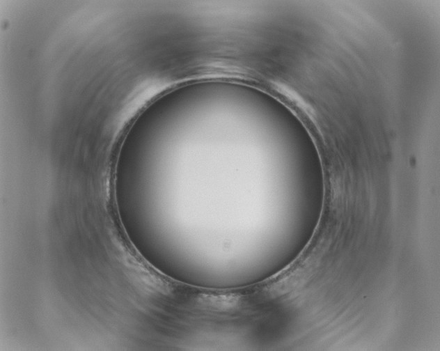 X0000088681415200705311156