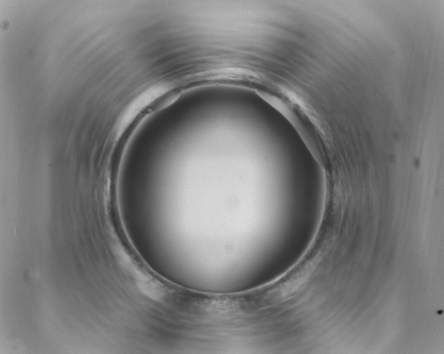X0000088681418200705311156