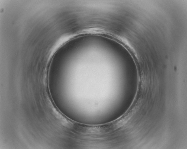 X0000088681421200705311156
