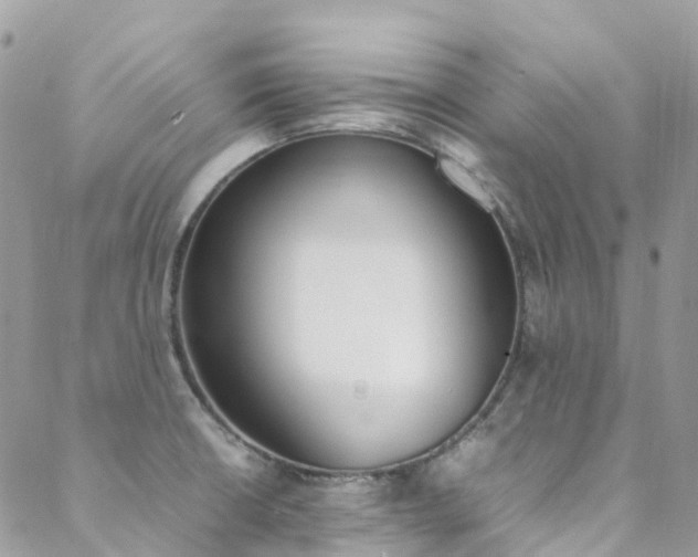 X0000088681426200705311157