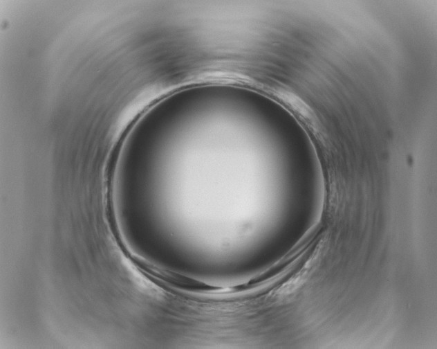 X0000088681430200705311157