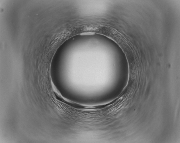 X0000088681441200705311156