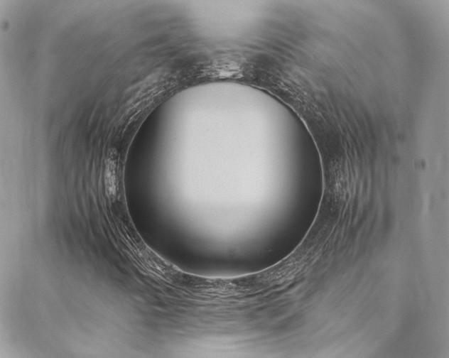X0000088681442200705311156
