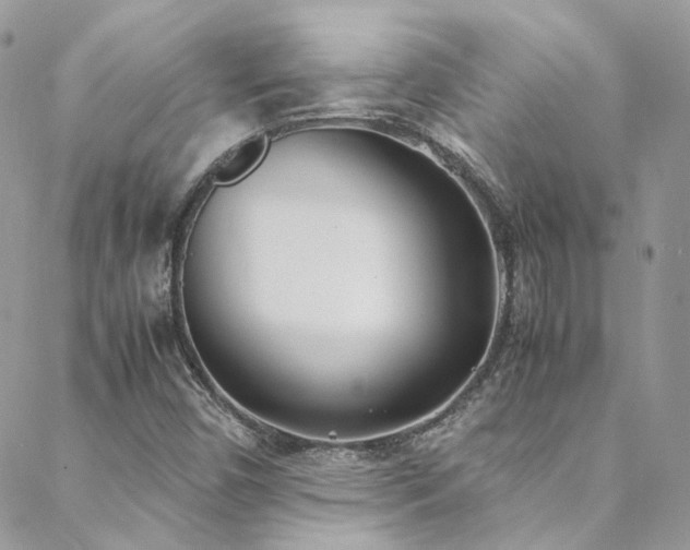 X0000088681450200705311156