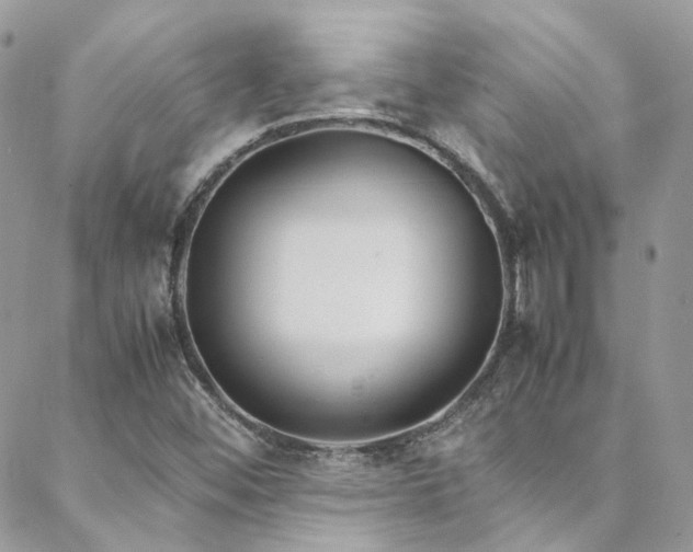 X0000088681452200705311156