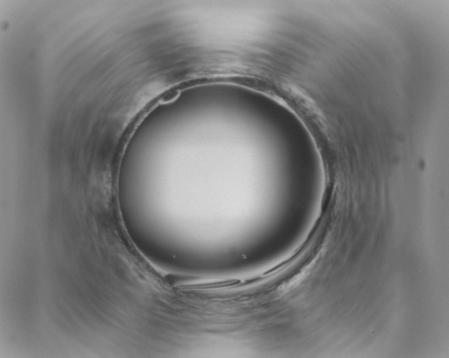 X0000088681457200705311156