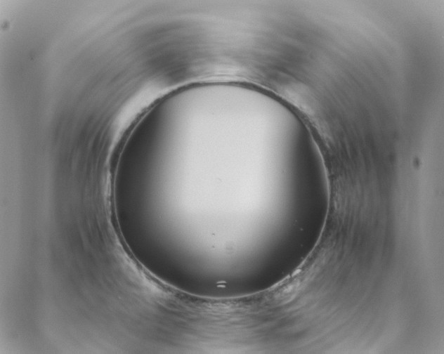 X0000088681472200705311155