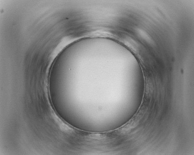 X0000088681478200705311155