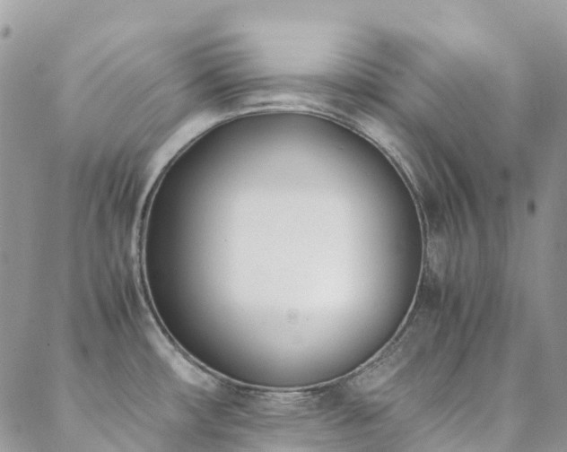 X0000088681482200705311155