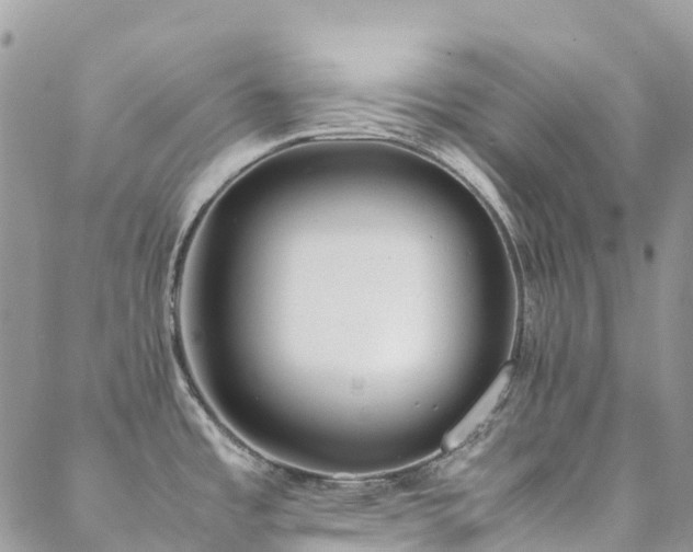 X0000088681485200705311155