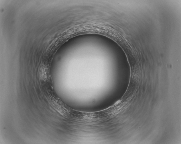 X0000088681490200705311154