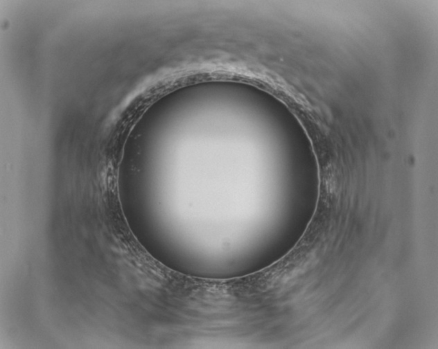 X0000088681495200705311155