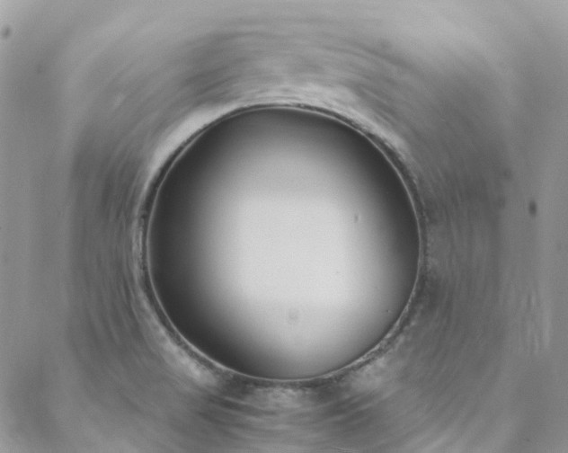 X0000088681517200705311155