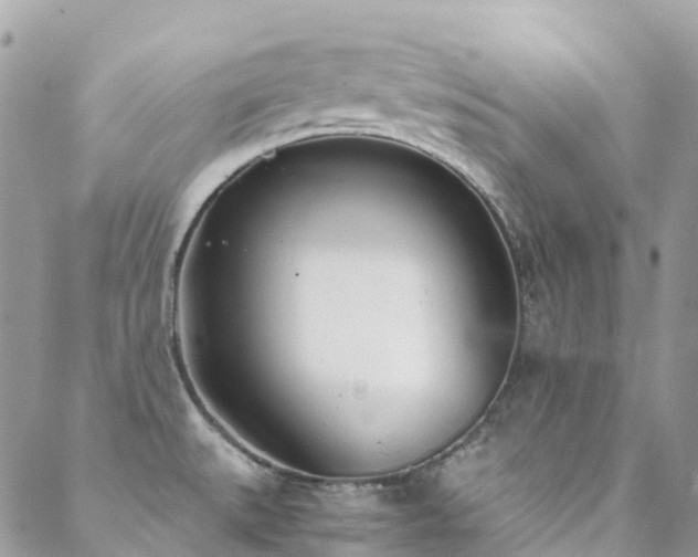 X0000088681527200705311155