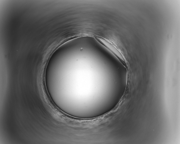 X0000088680001200706071435