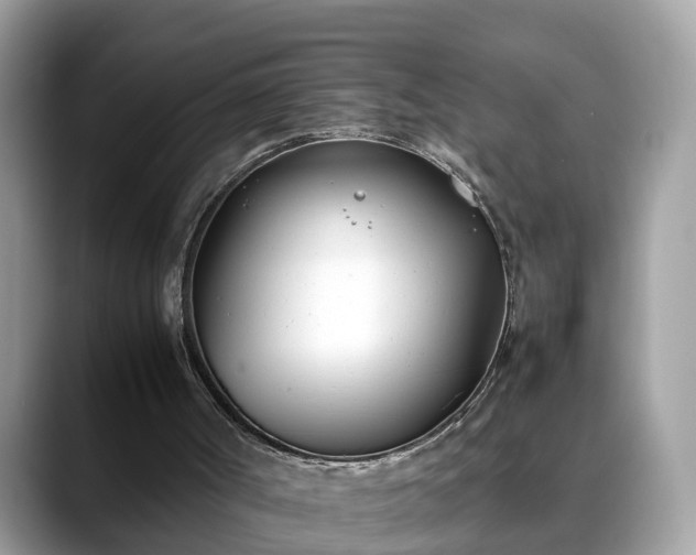 X0000088680002200706071435