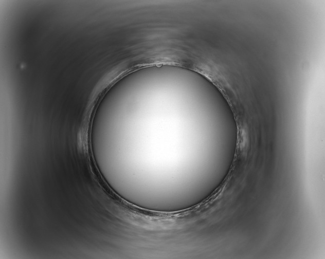X0000088680004200706071435