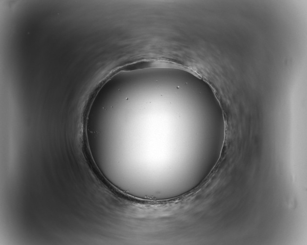 X0000088680005200706071435