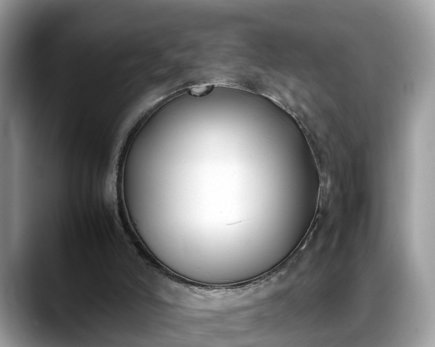 X0000088680006200706071435