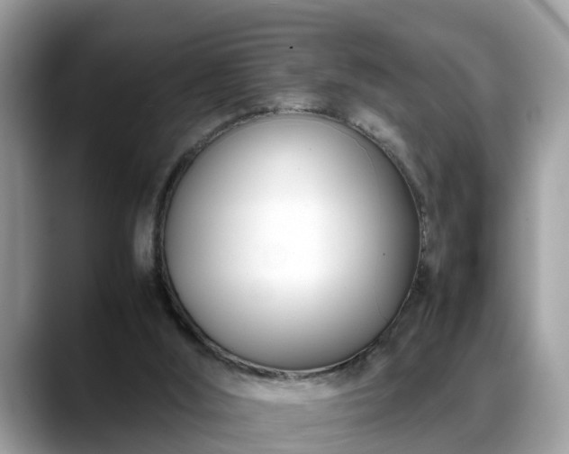 X0000088680012200706071435