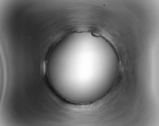 X0000088680013200706071435