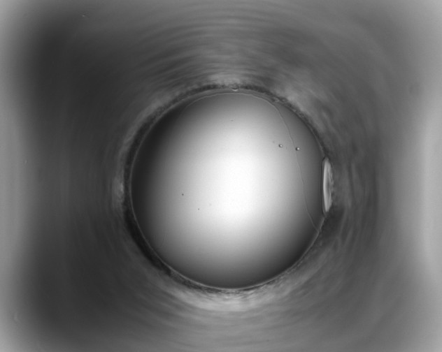 X0000088680015200706071435