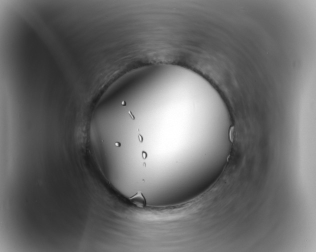 X0000088680017200706071435