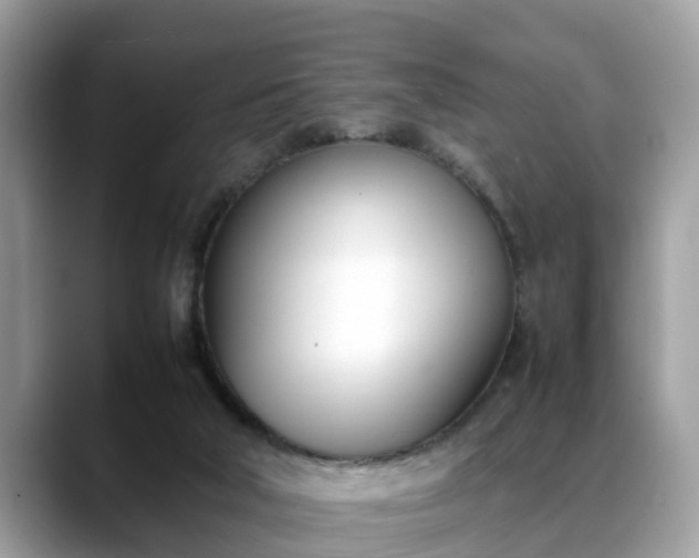 X0000088680018200706071435