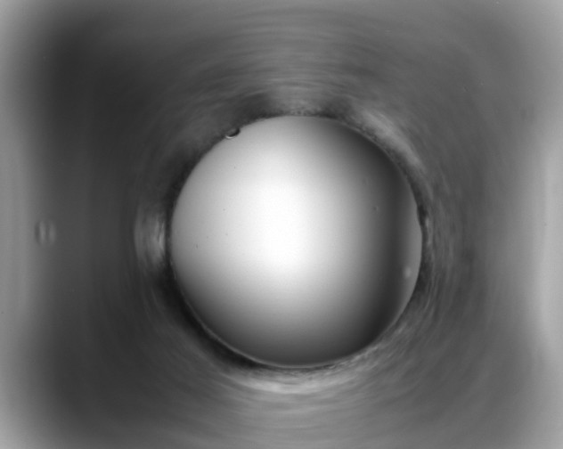X0000088680021200706071435