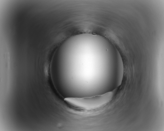 X0000088680023200706071435