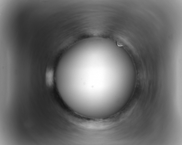 X0000088680024200706071435
