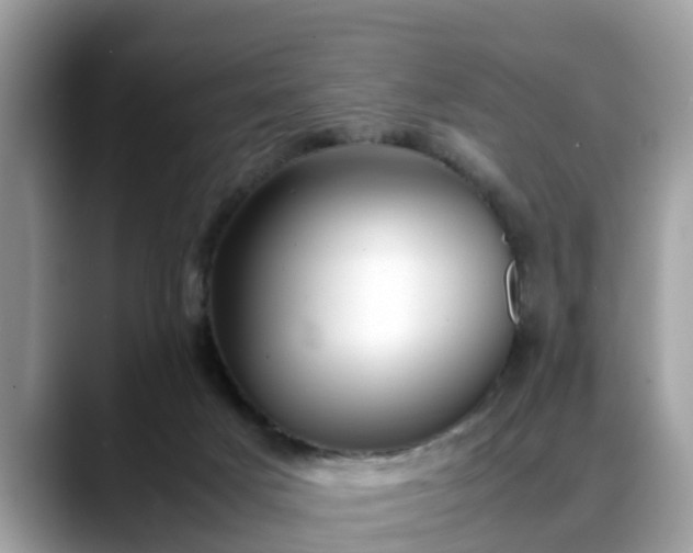 X0000088680025200706071435