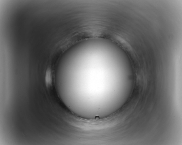 X0000088680026200706071435